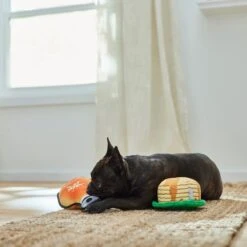Frisco Fall Pancakes & Maple Syrup Plush Squeaky Dog Toy, 2 Count -Optimal Pet Shop 285627 PT3. AC SS1800 V1629725170