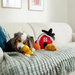 Frisco Fall Farmhouse Hide & Seek Puzzle Plush Squeaky Dog Toy -Optimal Pet Shop 285629 PT3. AC SS1800 V1629725107