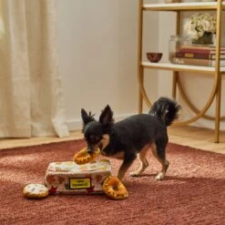 Frisco Fall Box Of Donuts Hide & Seek Puzzle Plush Squeaky Dog Toy -Optimal Pet Shop 285639 PT3. AC SS1800 V1629725027