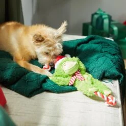 Frisco Holiday Monkey Plush With Rope Squeaky Dog Toy -Optimal Pet Shop 287115 PT3. AC SS1800 V1632774182