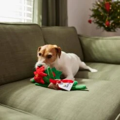 Frisco Flower Bouquet Plush Squeaky Dog Toy -Optimal Pet Shop 287163 PT3. AC SS1800 V1632776821