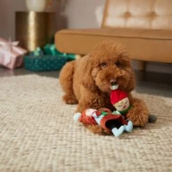 Frisco Holiday Carolers Plush Squeaky Dog Toy, 3 Count 7 Frisco Holiday Carolers Plush Squeaky Dog Toy, 3 Count -Optimal Pet Shop 287169 PT3. AC SS1800 V1632774907