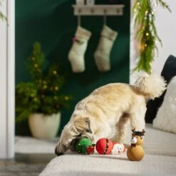 Frisco Holiday Santa & Friends Latex Squeaky Dog Toy -Optimal Pet Shop 287181 PT3. AC SS1800 V1632775363