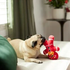Frisco Holiday Naughty Or Nice Gingerbread Man Reversible Plush Squeaky Dog Toy -Optimal Pet Shop 287217 PT3. AC SS1800 V1632775304