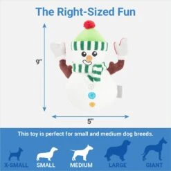 Frisco Holiday Naughty Or Nice Snowman Reversible Plush Squeaky Dog Toy -Optimal Pet Shop 287219 PT2. AC SS1800 V1637704003