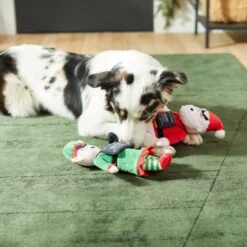 Frisco Holiday Bad Santa & Elf Plush Squeaky Dog Toy -Optimal Pet Shop 287223 PT3. AC SS1800 V1632773570