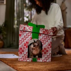Frisco Holiday Gift Box Cardboard Cat House -Optimal Pet Shop 287291 PT3. AC SS1800 V1695043502