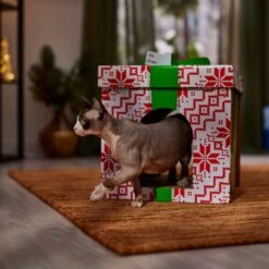 Frisco Holiday Gift Box Cardboard Cat House -Optimal Pet Shop 287291 PT4. AC SS1800 V1695045716