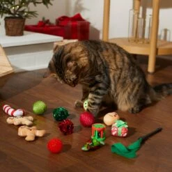 Frisco Holiday Festive Red Variety Pack Gift Box Cat Toy With Catnip, 14 Count 10 Frisco Holiday Festive Red Variety Pack Gift Box Cat Toy With Catnip, 14 Count -Optimal Pet Shop 287305 PT3. AC SS1800 V1632773836