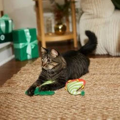 Frisco Holiday Elf Legs & Hat Plush Cat Toy With Catnip, 2 Count -Optimal Pet Shop 287365 PT3. AC SS1800 V1632776685