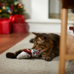 Frisco Holiday Raccoon Kicker Plush Cat Toy With Catnip 8 Frisco Holiday Raccoon Kicker Plush Cat Toy With Catnip -Optimal Pet Shop 287379 PT3. AC SS1800 V1632776287