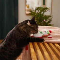 Frisco Naughty Or Nice Snowman Reversible Plush Cat Toy With Catnip -Optimal Pet Shop 287387 PT3. AC SS1800 V1632774541