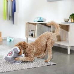 Frisco Scale Plush Squeaky Dog Toy -Optimal Pet Shop 288911 PT3. AC SS1800 V1638289585