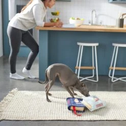 Frisco Cookbooks Plush Squeaky Dog Toy, 2 Count -Optimal Pet Shop 288937 PT3. AC SS1800 V1638287852