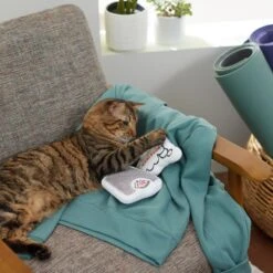 Frisco Scale & Message Bubble Plush Cat Toy With Catnip, 2 Count -Optimal Pet Shop 288959 PT3. AC SS1800 V1638288401