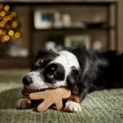 Frisco Nylon Gingerbread Dog Chew Toy, Beef Flavor, Medium -Optimal Pet Shop 291385 PT3. AC SS1800 V1668108316