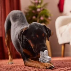 Frisco Holiday Nylon Snowflake Dog Chew Toy, Peanut Butter Flavor, Medium -Optimal Pet Shop 291387 PT3. AC SS1800 V1629306692