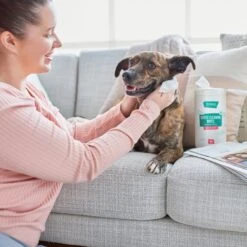 Frisco Gentle Cleaning Waterless Grooming Wipes For Puppies & Kittens, Green Tea Scent 12 Frisco Gentle Cleaning Waterless Grooming Wipes For Puppies & Kittens, Green Tea Scent -Optimal Pet Shop 291592 PT4. AC SS1800 V1627306695