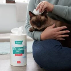 Frisco Gentle Cleaning Waterless Grooming Wipes For Puppies & Kittens, Green Tea Scent 13 Frisco Gentle Cleaning Waterless Grooming Wipes For Puppies & Kittens, Green Tea Scent -Optimal Pet Shop 291592 PT5. AC SS1800 V1627306905