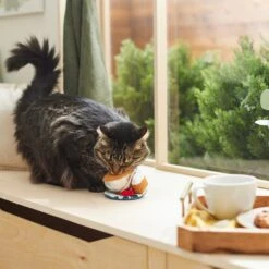 Frisco Brunch Teacup Plush Cat Toy With Catnip -Optimal Pet Shop 297292 PT2. AC SS1800 V1642088843