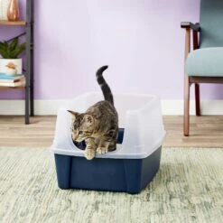 Frisco Plastic Litter Scooper With Caddy & IRIS USA Open Top Litter Box With Scatter Shield -Optimal Pet Shop 298166 PT6. AC SS1800 V1623202669