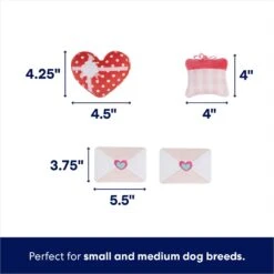 Frisco Valentine Love Letters Hide & Seek Puzzle Plush Squeaky Dog Toy -Optimal Pet Shop 298929 PT2. AC SS1800 V1670870804