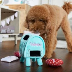 Frisco Valentine Love Letters Hide & Seek Puzzle Plush Squeaky Dog Toy -Optimal Pet Shop 298929 PT3. AC SS1800 V1638987486