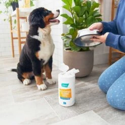 Catit Flower Plastic Cat Fountain & Frisco Pet Toy & Bowl Cleaning Wipes, 70 Count -Optimal Pet Shop 303288 PT7. AC SS1800 V1623047247