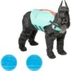 Frisco Active Dog Life Jacket & Frisco Foam Rubber Floating Fetch Ball No Squeak Dog Toy -Optimal Pet Shop 303364 MAIN. AC SS1800 V1623163652