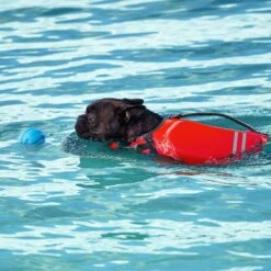 Frisco Active Dog Life Jacket & Frisco Foam Rubber Floating Fetch Ball No Squeak Dog Toy 19 Frisco Active Dog Life Jacket & Frisco Foam Rubber Floating Fetch Ball No Squeak Dog Toy -Optimal Pet Shop 303364 PT8. AC SS1800 V1623163654