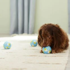 Frisco Easter Fetch Squeaky Tennis Ball Dog Toy, Medium, 3 Count -Optimal Pet Shop 304964 PT4. AC SS1800 V1703184745