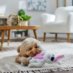 Frisco Easter Bunny Muscle Plush Squeaky Dog Toy 10 Frisco Easter Bunny Muscle Plush Squeaky Dog Toy -Optimal Pet Shop 304976 PT4. AC SS1800 V1702500565
