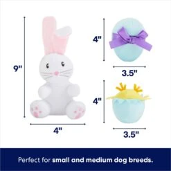 Frisco Easter Basket Hide & Seek Puzzle Plush Squeaky Dog Toy -Optimal Pet Shop 304982 PT2. AC SS1800 V1702665735
