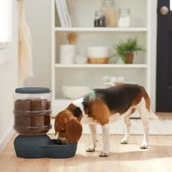 Frisco Wide Mouth Gravity Feeder 7 Frisco Wide Mouth Gravity Feeder -Optimal Pet Shop 308943 PT4. AC SS1800 V1634318507