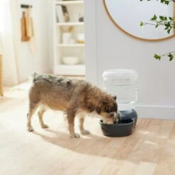 Frisco Wide Mouth Gravity Waterer 7 Frisco Wide Mouth Gravity Waterer -Optimal Pet Shop 308945 PT4. AC SS1800 V1634318536