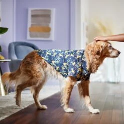 Disney Lion King's Simba Jungle Dog & Cat Shirt -Optimal Pet Shop 311842 PT8. AC SS1800 V1643323713