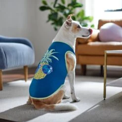 Frisco Pineapple Guy Dog & Cat T-Shirt -Optimal Pet Shop 312040 PT8. AC SS1800 V1644466024