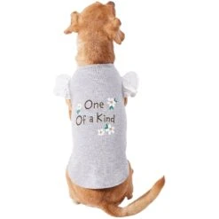 Frisco One Of A Kind Dog & Cat T-Shirt -Optimal Pet Shop 312080 PT3. AC SS1800 V1673303002