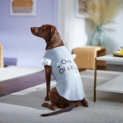 Frisco One Of A Kind Dog & Cat T-Shirt -Optimal Pet Shop 312080 PT5. AC SS1800 V1673304060