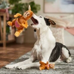 Frisco Valentine Kangaroo & Joey Plush Squeaky Dog Toy -Optimal Pet Shop 312899 PT3. AC SS1800 V1701364918