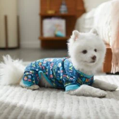 Frisco Celebration Dog & Cat PJs -Optimal Pet Shop 315105 PT8. AC SS1800 V1646437758