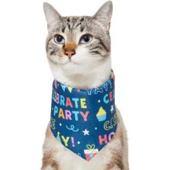 Frisco Celebration Dog & Cat Bandana -Optimal Pet Shop 315133 PT2. AC SS1800 V1646439780