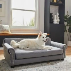 Frisco Sofa Pet Bed With Removable Cover & Frisco Eyelash Cat & Dog Blanket -Optimal Pet Shop 319504 PT4. AC SS1800 V1630625195