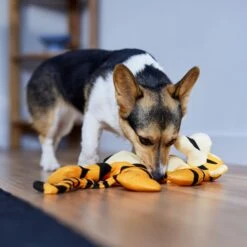 Disney Tigger Bungee Plush Squeaky Dog Toy -Optimal Pet Shop 328769 PT3. AC SS1800 V1657718551