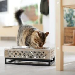 Frisco Premium Wood Elevated Stainless Steel Double Diner Dog & Cat Bowl, 3 Cup -Optimal Pet Shop 331507 PT3. AC SS1800 V1657656894