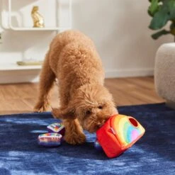 Frisco Pride Rainbow Hide & Seek Puzzle Plush Squeaky Dog Toy 9 Frisco Pride Rainbow Hide & Seek Puzzle Plush Squeaky Dog Toy -Optimal Pet Shop 331673 PT3. AC SS1800 V1647356070
