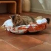 Frisco Calico Cat Design Adjustable Cat Bolster Bed -Optimal Pet Shop 333860 MAIN. AC SS1800 V1658718002