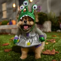 Frisco Front Walking Alien Dog & Cat Costume -Optimal Pet Shop 334795 PT7. AC SS1800 V1657718966