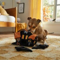 Frisco Halloween Haunted House Hide & Seek Puzzle Plush Squeaky Dog Toy -Optimal Pet Shop 344136 PT3. AC SS1800 V1657657042