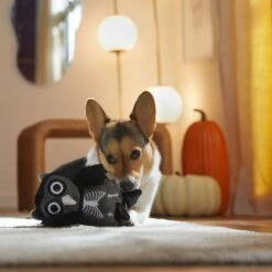 Frisco Halloween Spooky Owl Plush Squeaky Dog Toy -Optimal Pet Shop 344162 PT3. AC SS1800 V1657657049